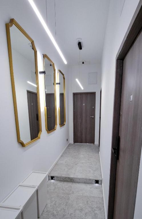 Lion Apartments - Premium Studio With Balcony Краків Екстер'єр фото
